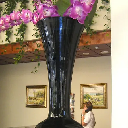 Don Angel - Adults Recommended 4* 로쿠타스드마르